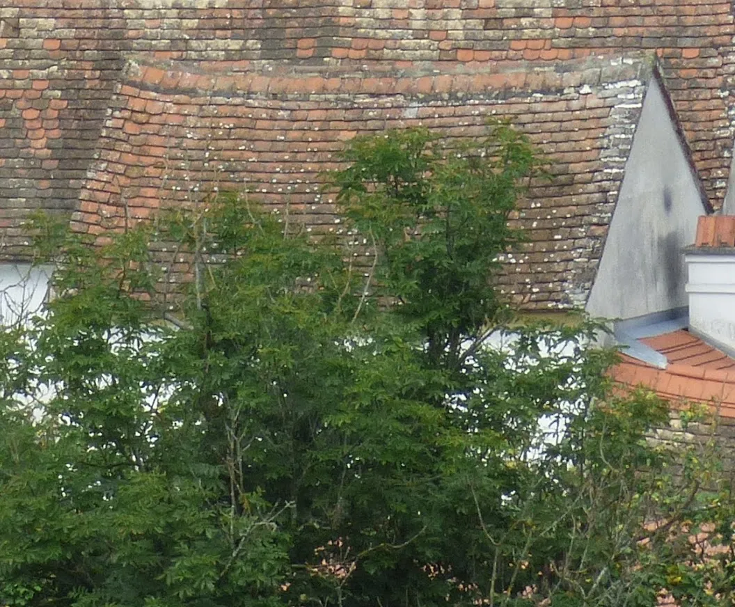 Stadtschlaining, outbuilding at Hauptplatz 6