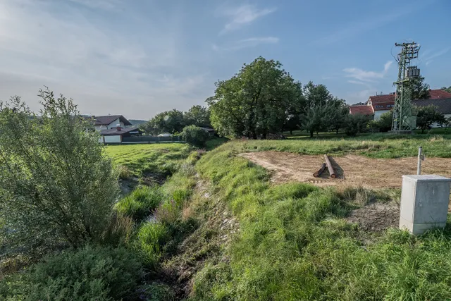 20210822 WTSB Drumlingbach